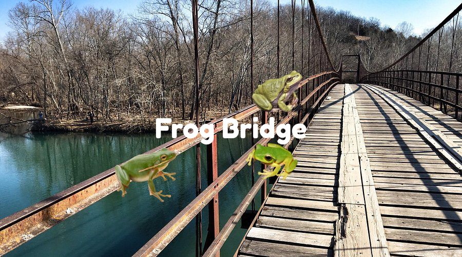 Frog Bridge